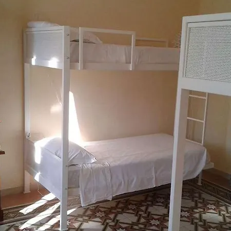 C Luxury Palace And Hotel 3*