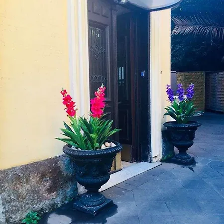 C Luxury Palace And 3*